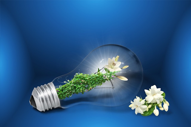 Réunion énergies renouvelables